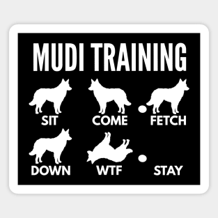 Mudi Training Mudi Tricks Magnet